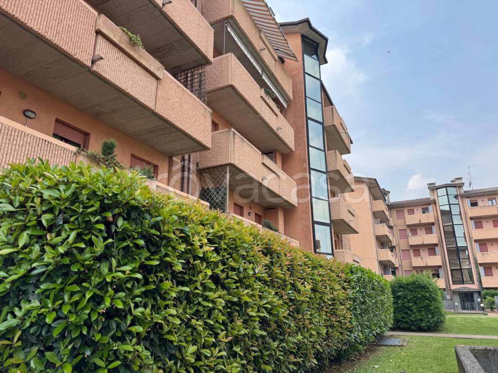 immagine annuncio 13 di 14
