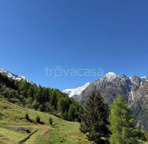 immagine annuncio 4 di 7