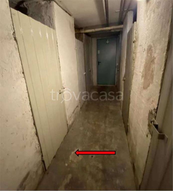 immagine annuncio 11 di 14