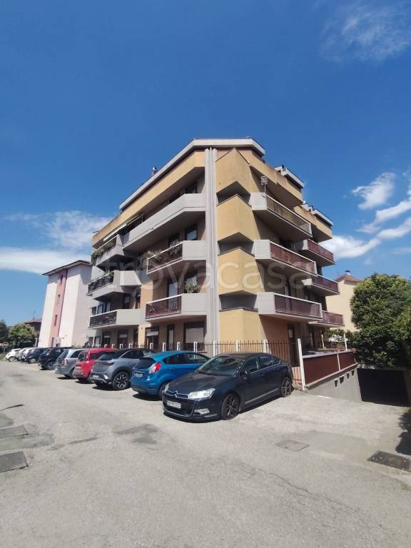 immagine annuncio 5 di 15