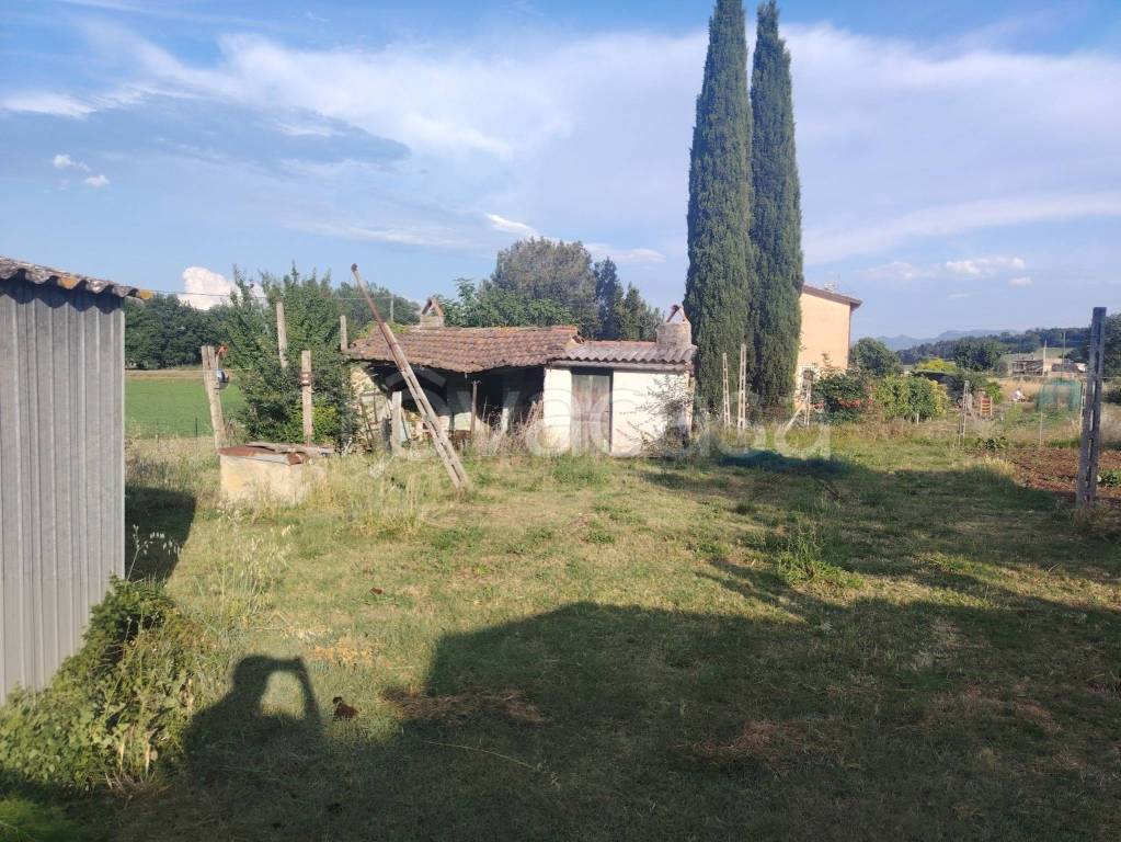 immagine annuncio 5 di 9