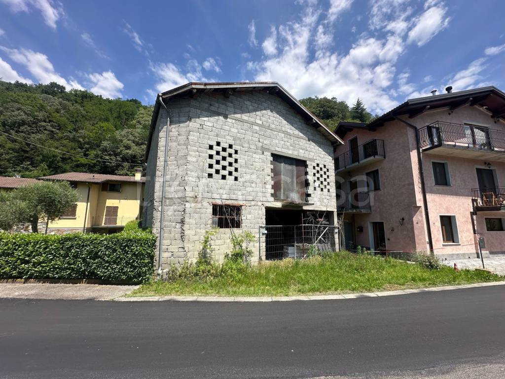 immagine annuncio 4 di 14