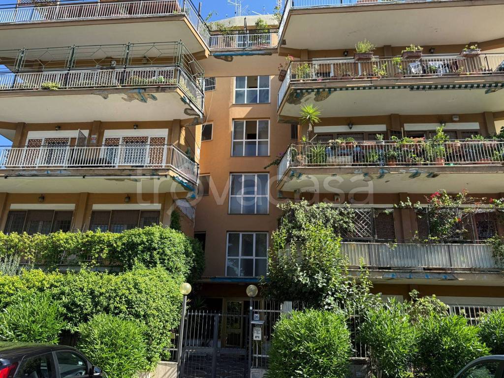immagine annuncio 1 di 6