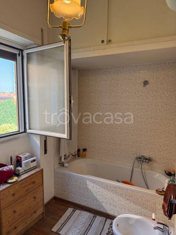 immagine annuncio 4 di 6