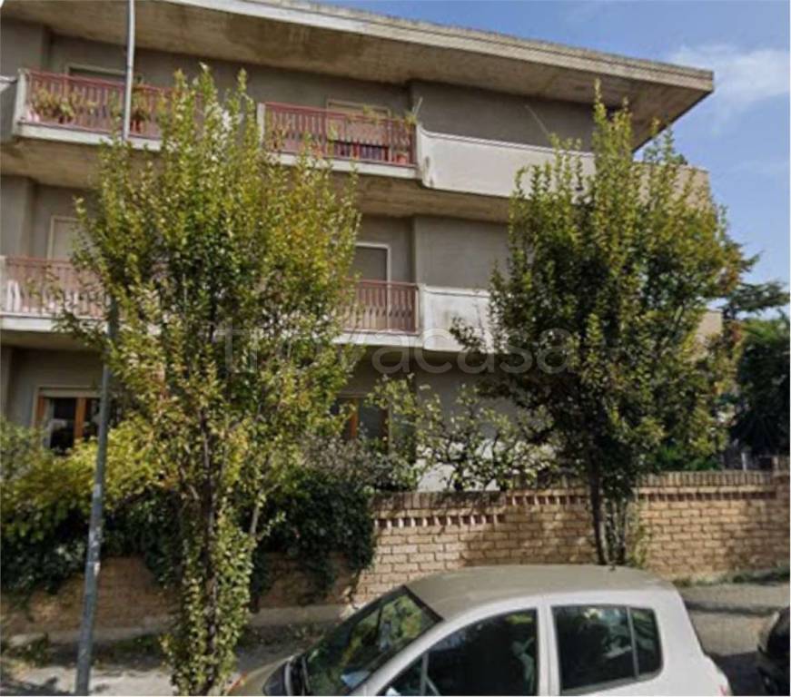 immagine annuncio 5 di 14