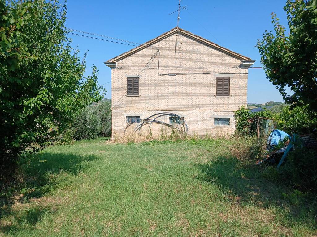 immagine annuncio 2 di 14