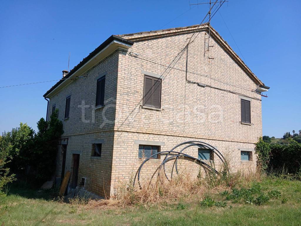 immagine annuncio 3 di 14