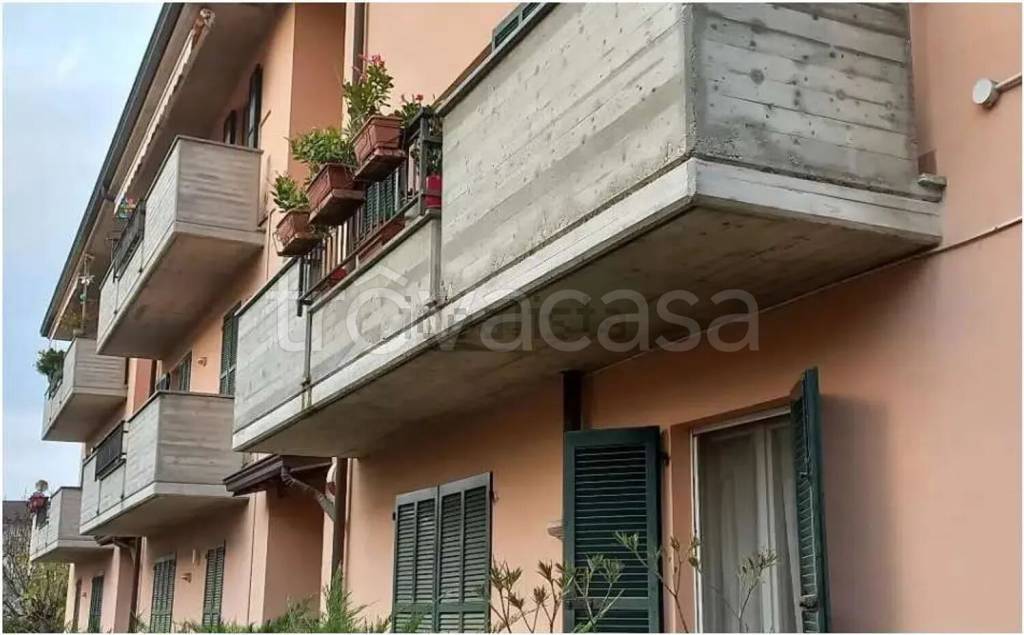 immagine annuncio 1 di 14