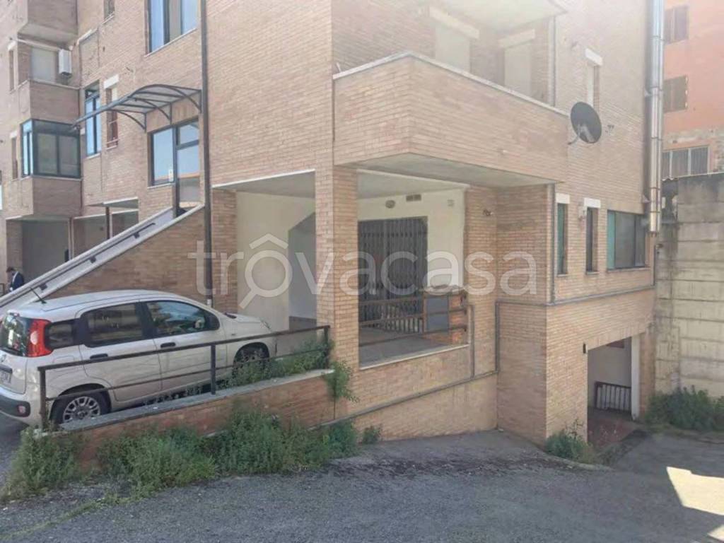 immagine annuncio 4 di 14