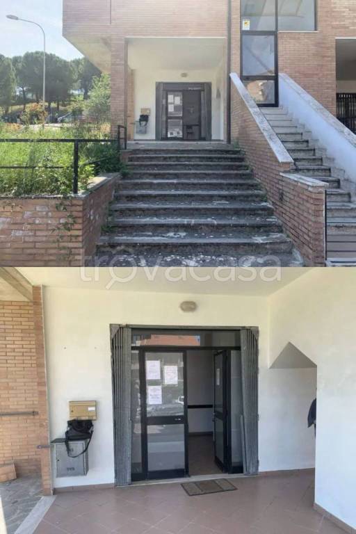 immagine annuncio 5 di 14
