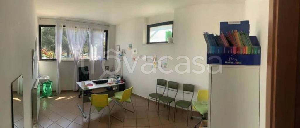 immagine annuncio 11 di 14