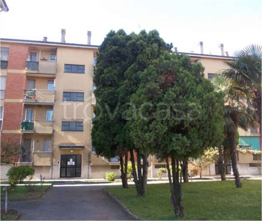 immagine annuncio 2 di 14
