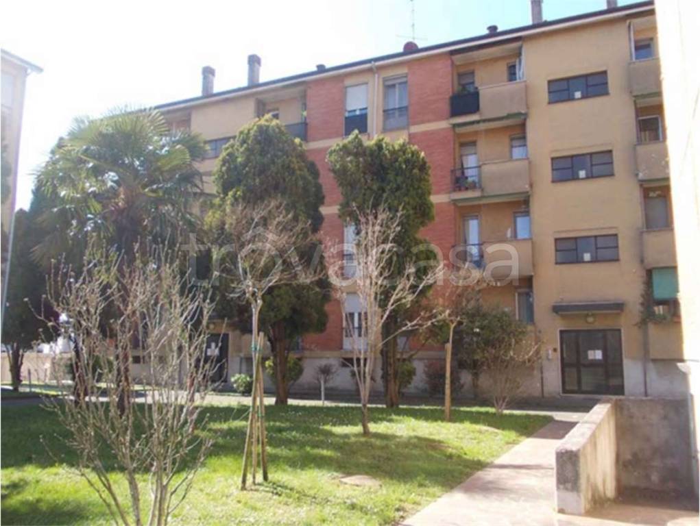 immagine annuncio 5 di 14