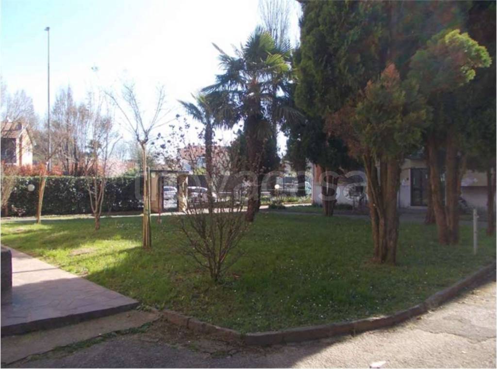 immagine annuncio 6 di 14