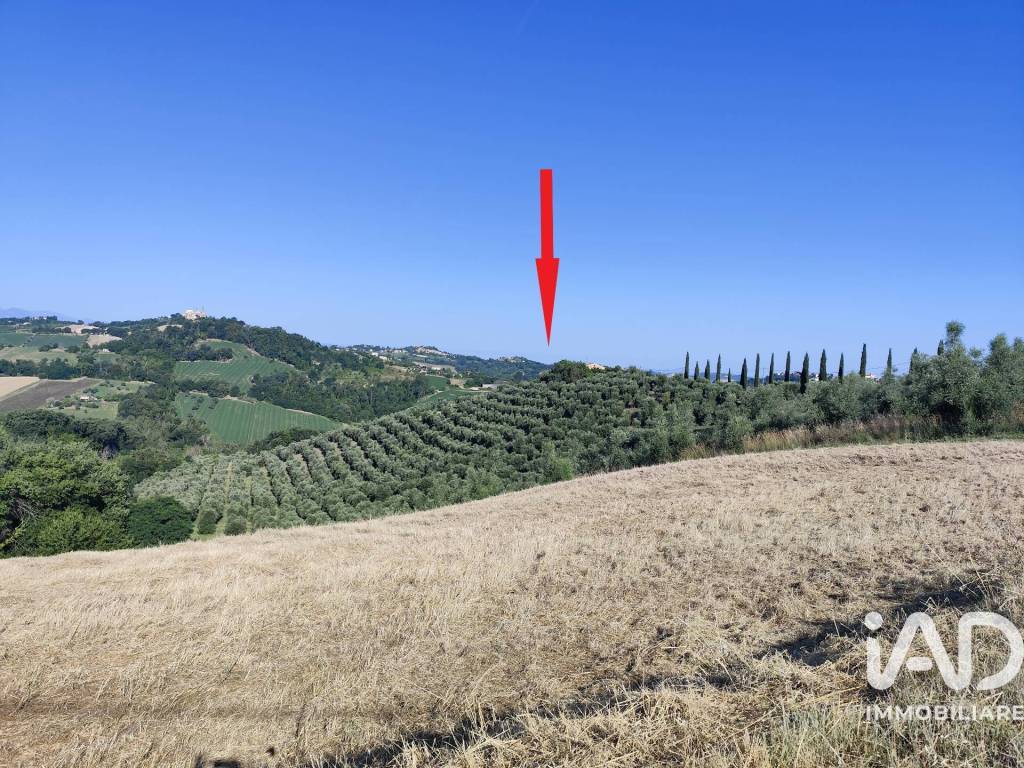 immagine annuncio 13 di 14