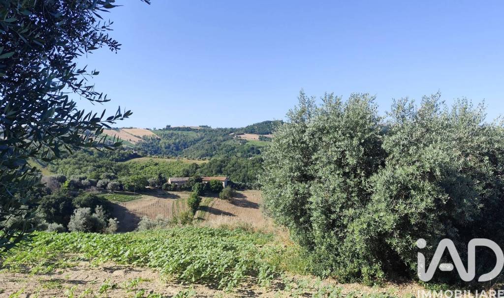 immagine annuncio 9 di 14