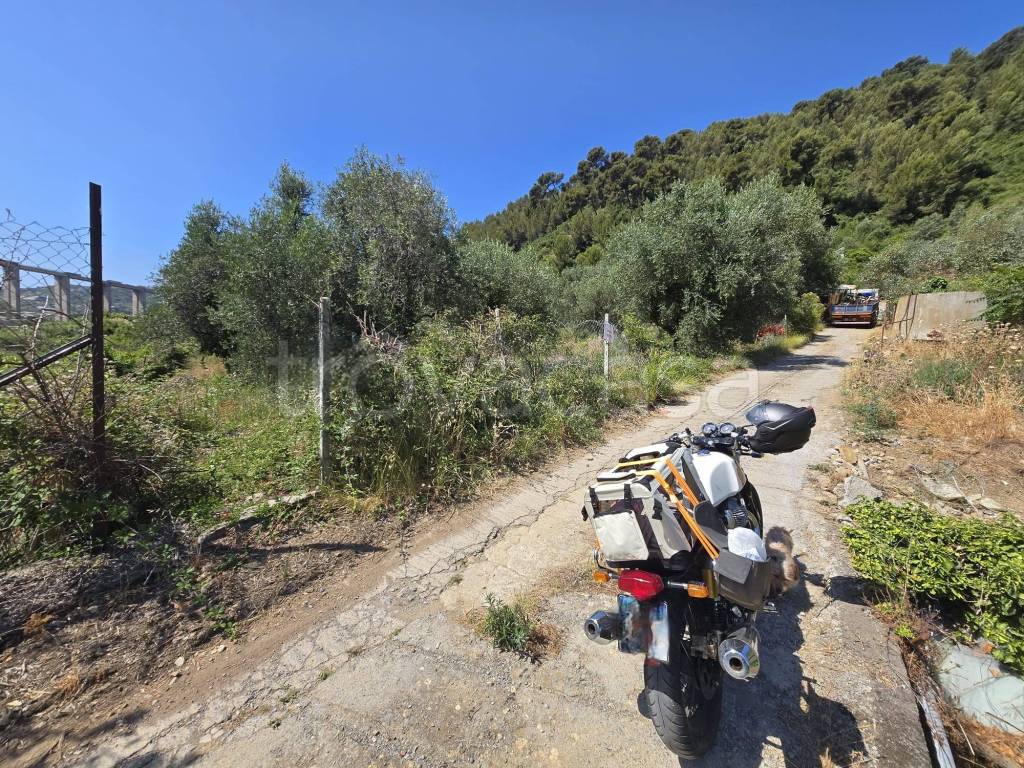 immagine annuncio 4 di 12