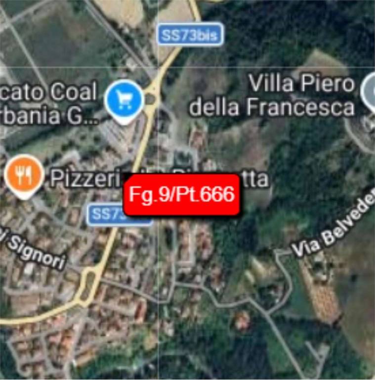 immagine annuncio 10 di 13
