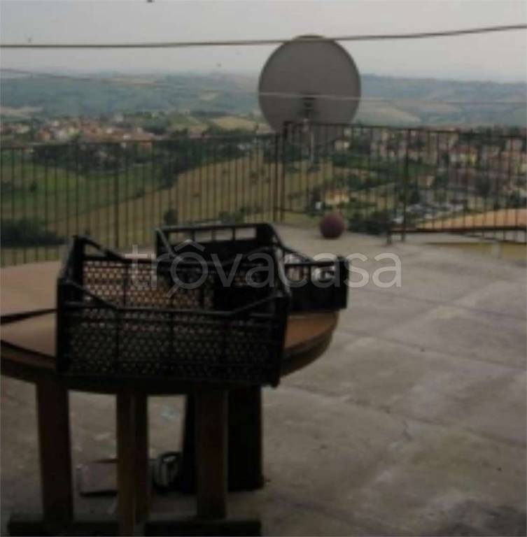 immagine annuncio 11 di 14