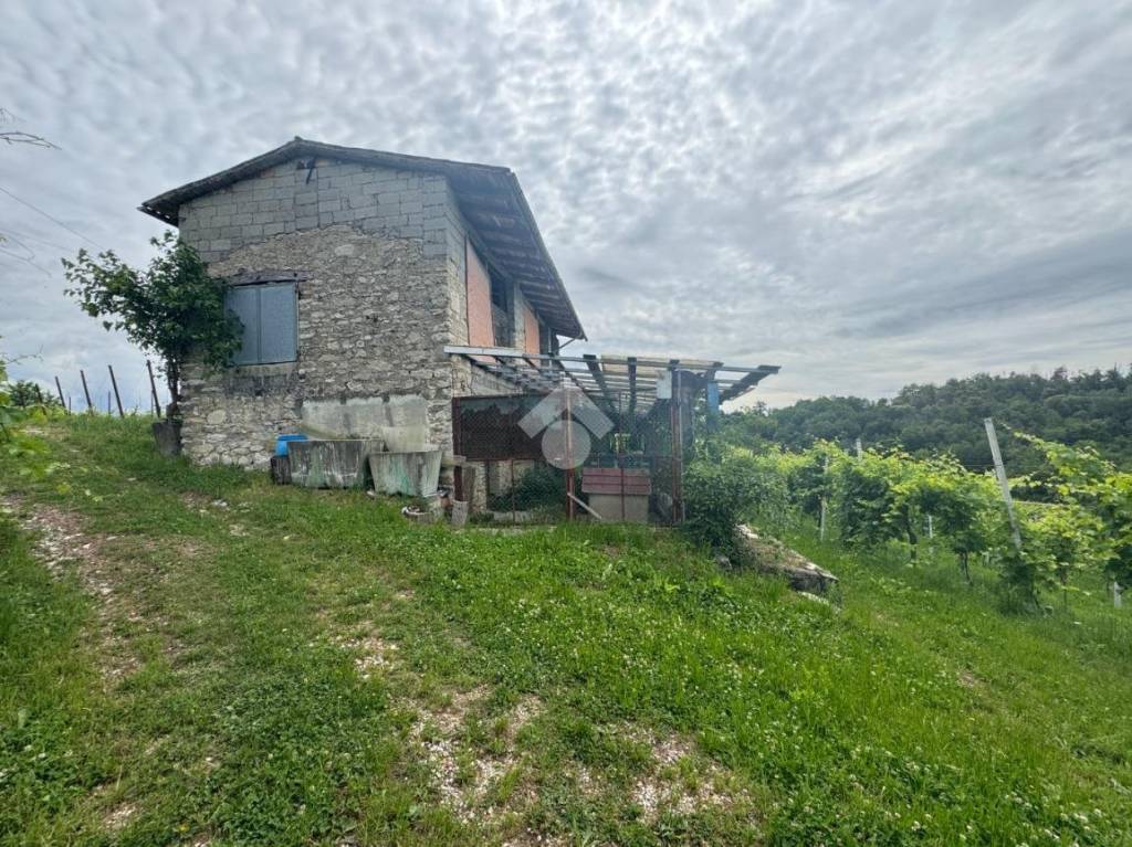 immagine annuncio 4 di 14