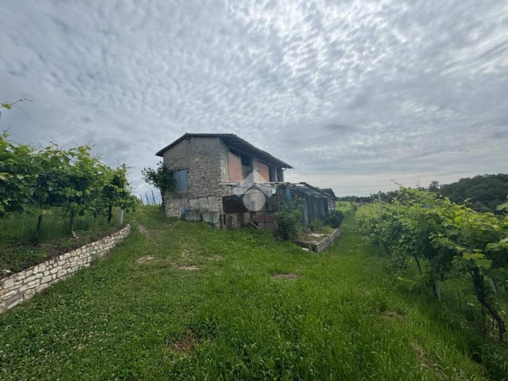 immagine annuncio 5 di 14
