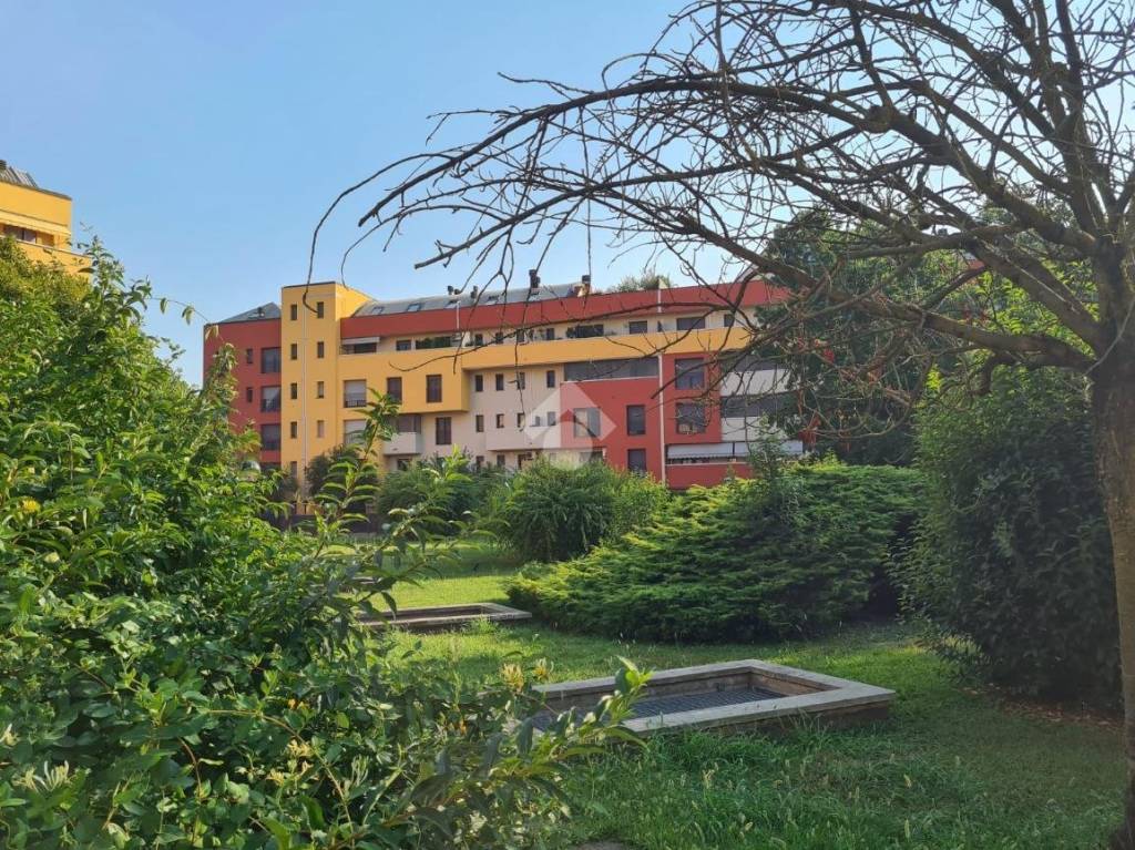 immagine annuncio 4 di 12