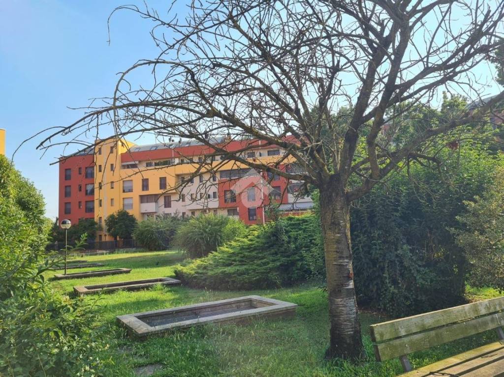 immagine annuncio 8 di 12