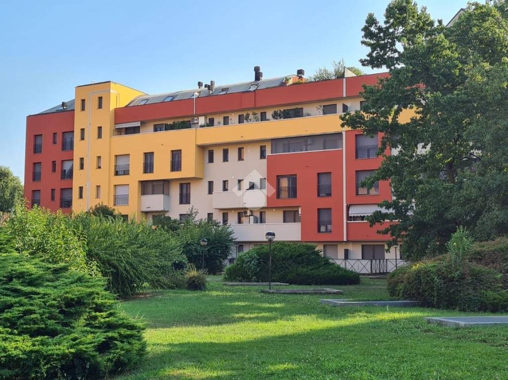 immagine annuncio 11 di 12