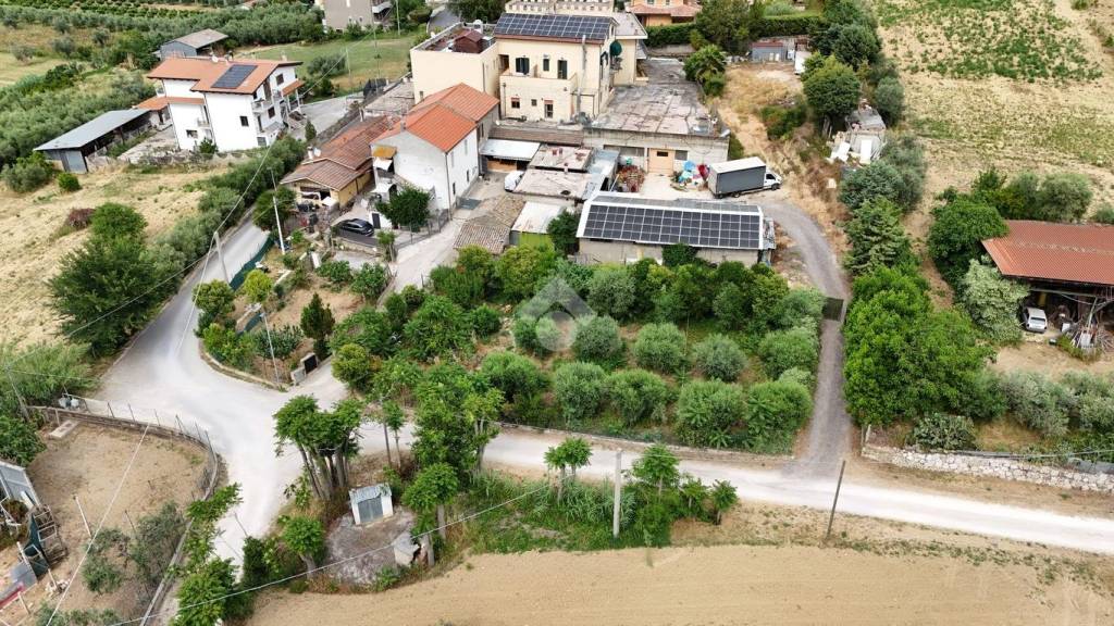 immagine annuncio 3 di 12