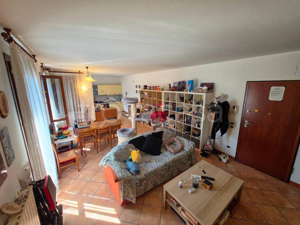 immagine annuncio 6 di 15