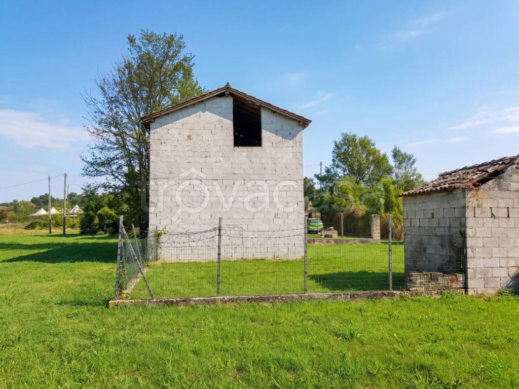 immagine annuncio 10 di 15