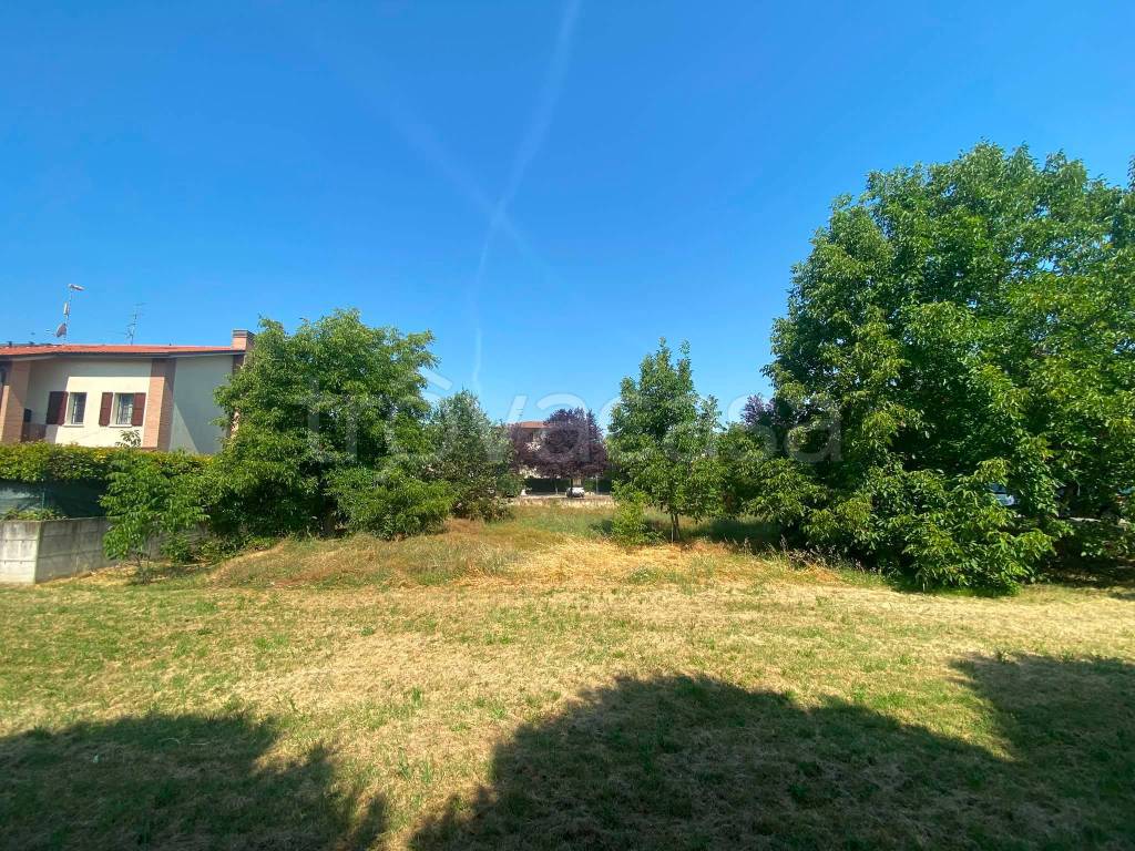 immagine annuncio 3 di 6
