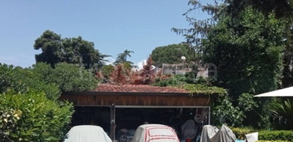 immagine annuncio 4 di 11
