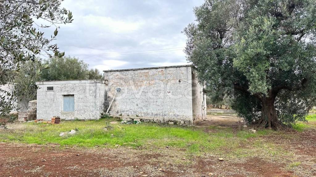 immagine annuncio 2 di 6