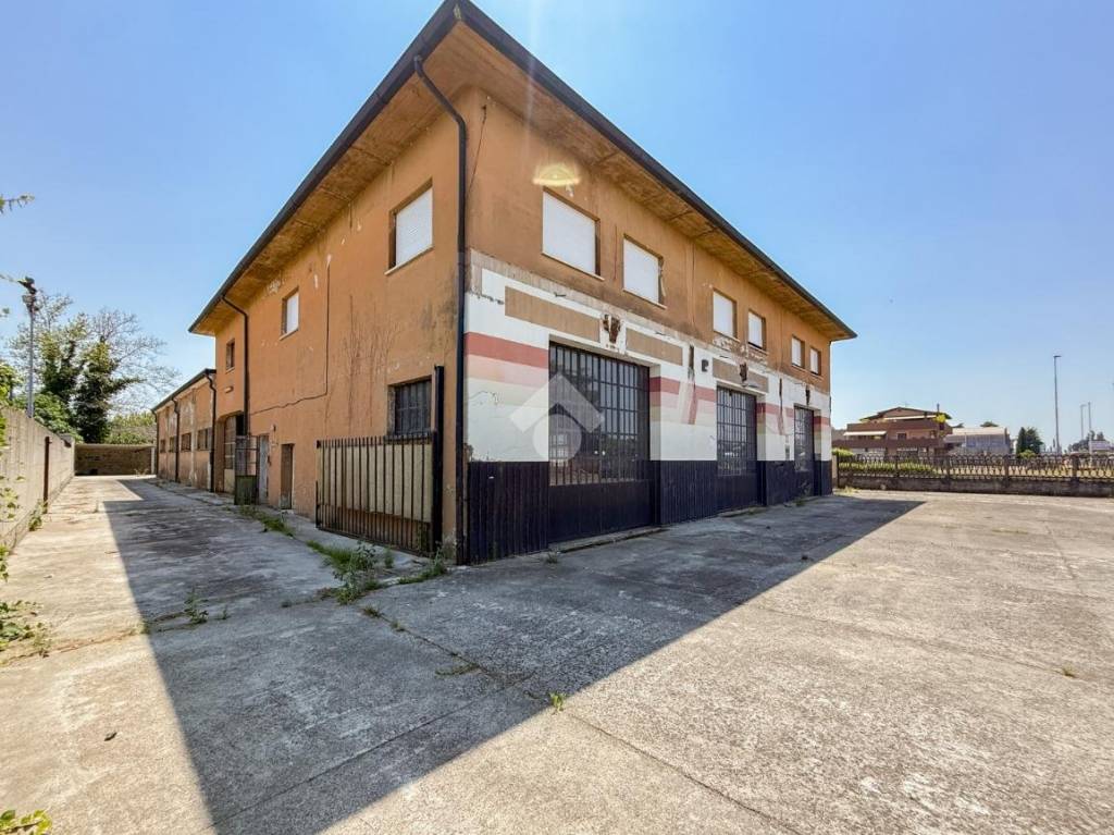 immagine annuncio 1 di 15