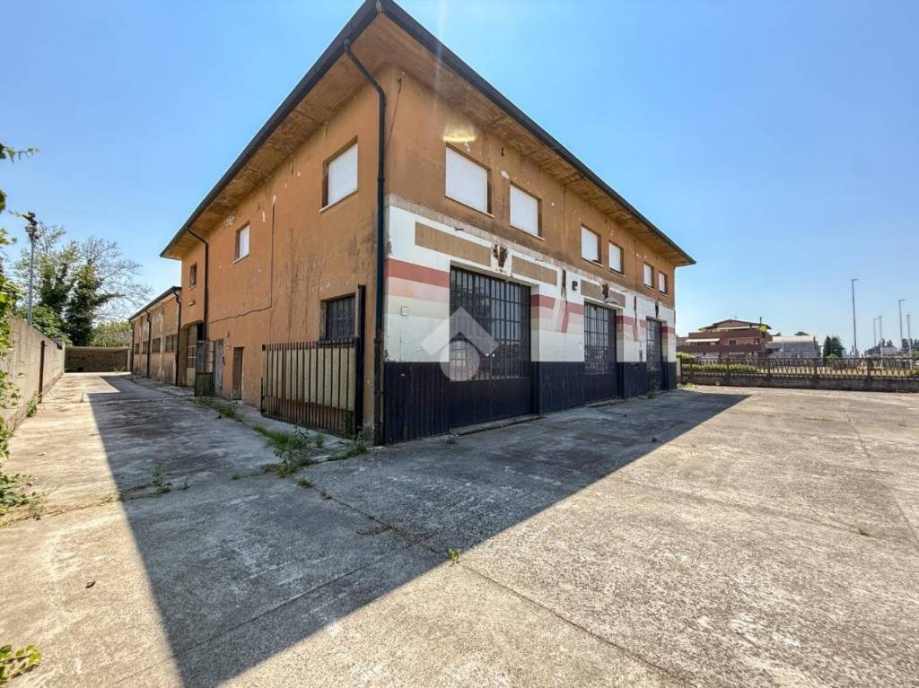 immagine annuncio 7 di 15