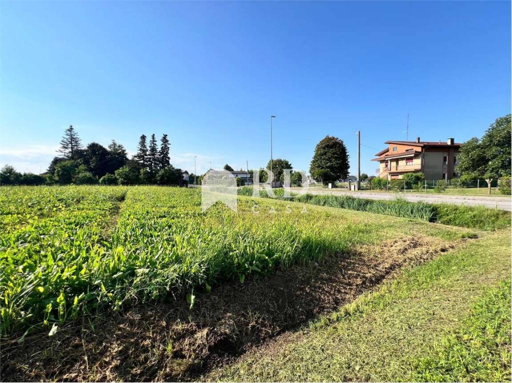 immagine annuncio 10 di 13