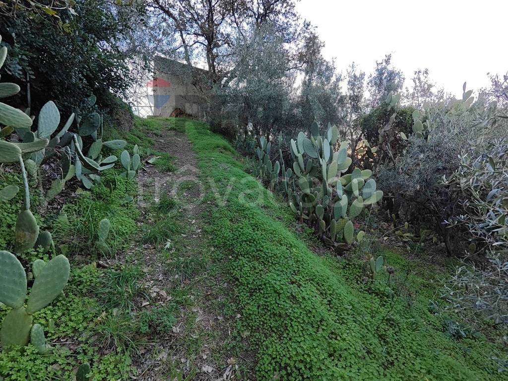 immagine annuncio 3 di 8