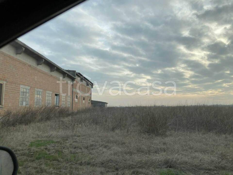 immagine annuncio 2 di 8