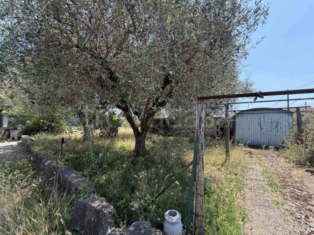 immagine annuncio 12 di 13