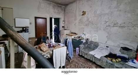 immagine annuncio 6 di 14