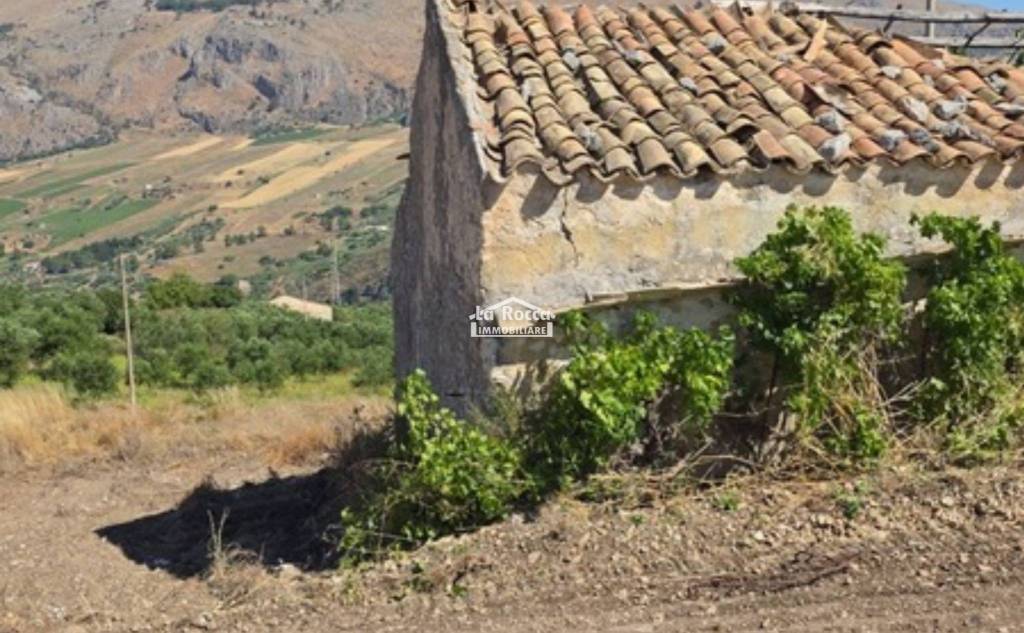 immagine annuncio 4 di 6