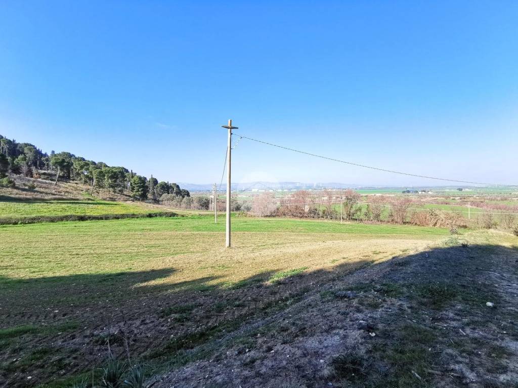 immagine annuncio 6 di 12
