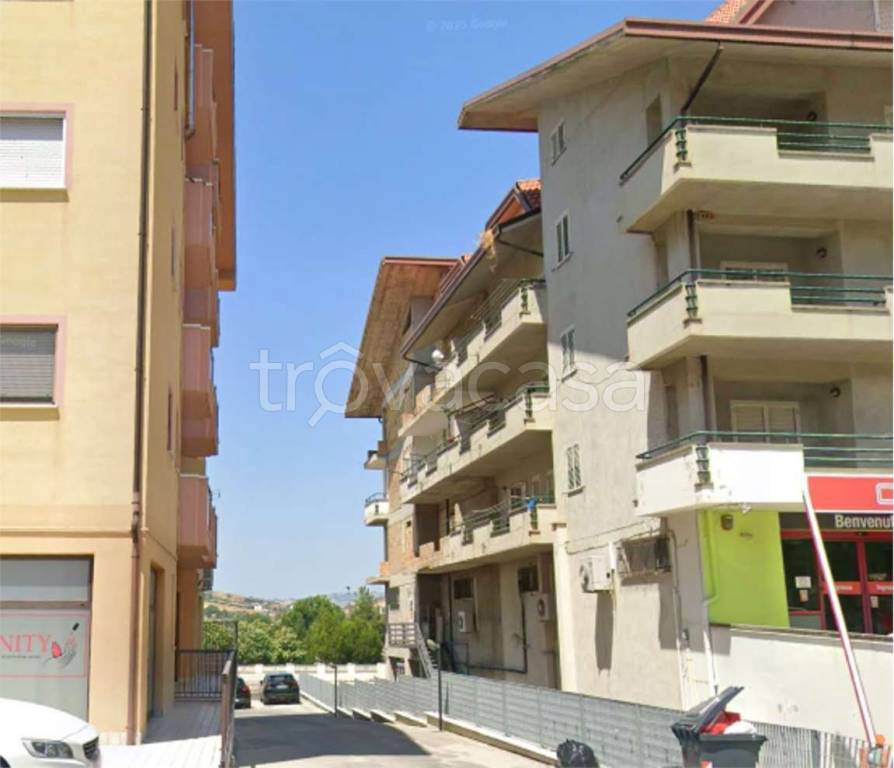 immagine annuncio 12 di 14