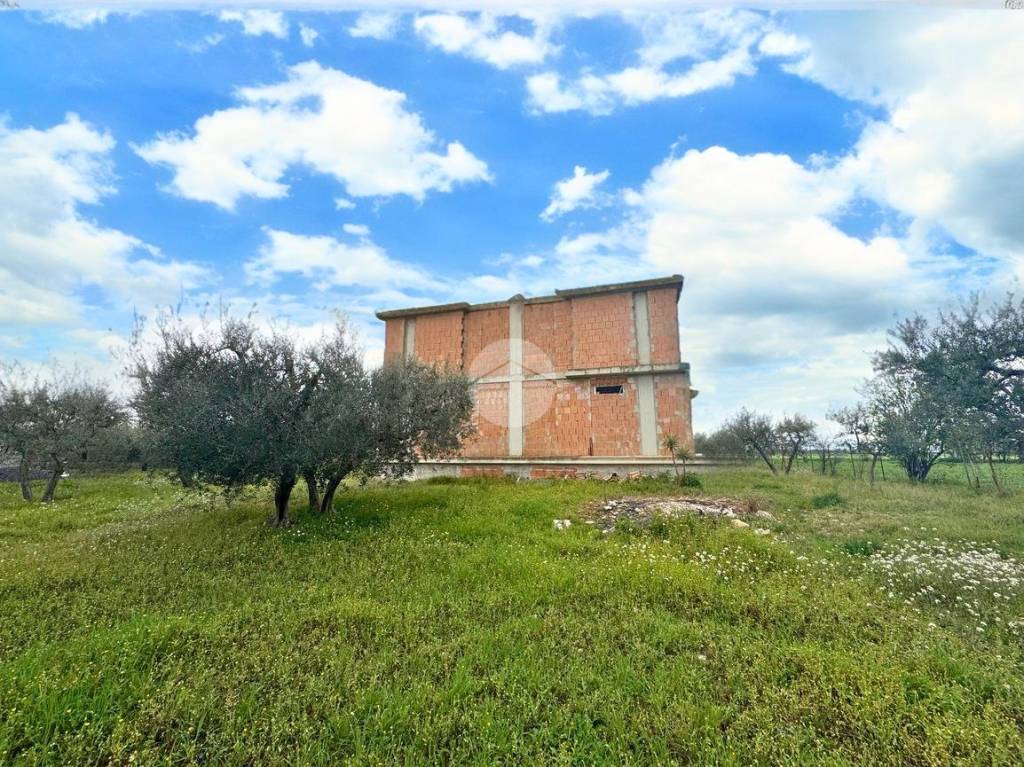 immagine annuncio 9 di 13