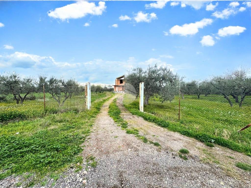 immagine annuncio 11 di 13