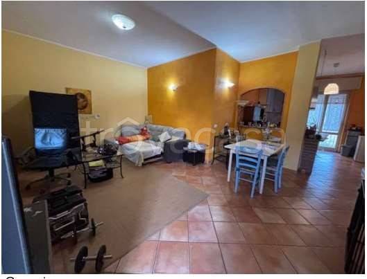immagine annuncio 3 di 14
