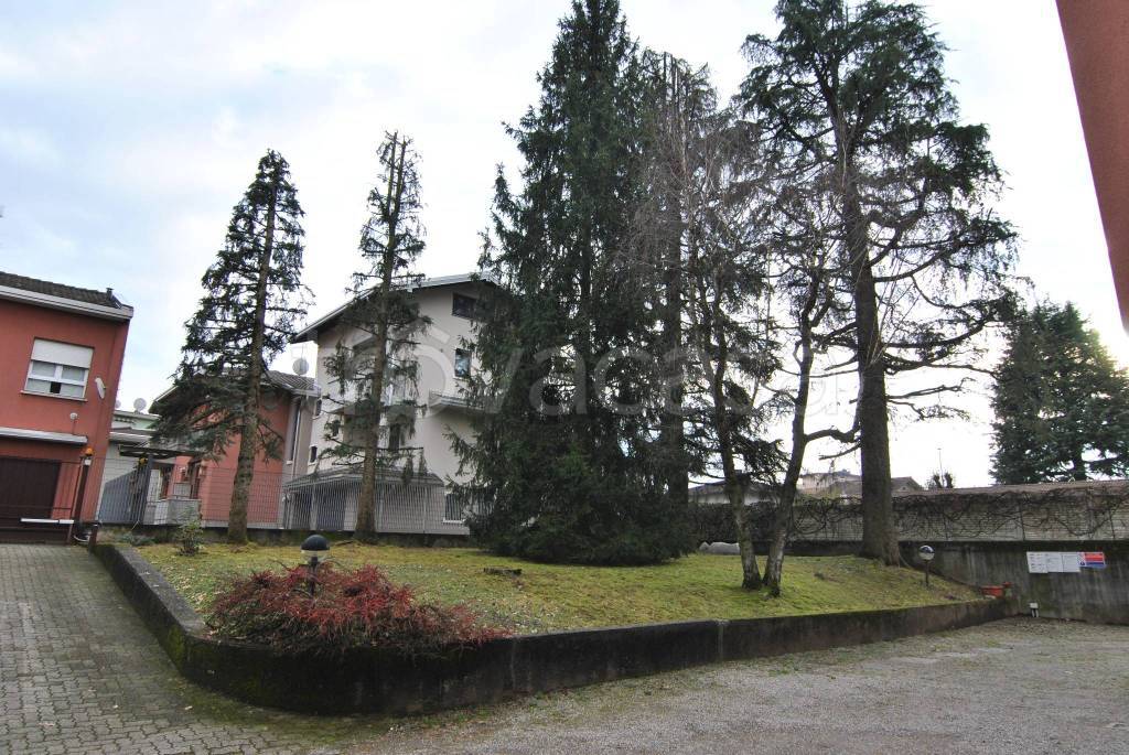 immagine annuncio 9 di 11