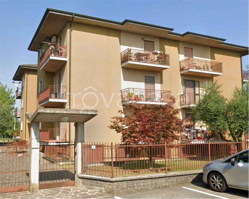 immagine annuncio 11 di 15