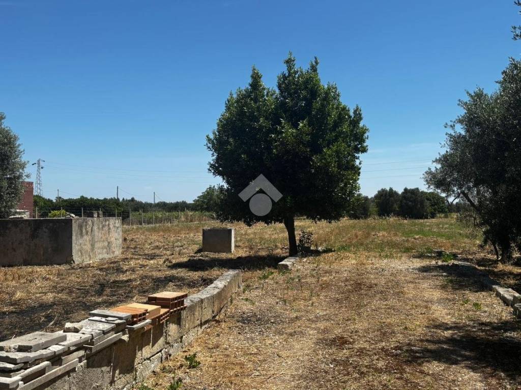 immagine annuncio 2 di 9
